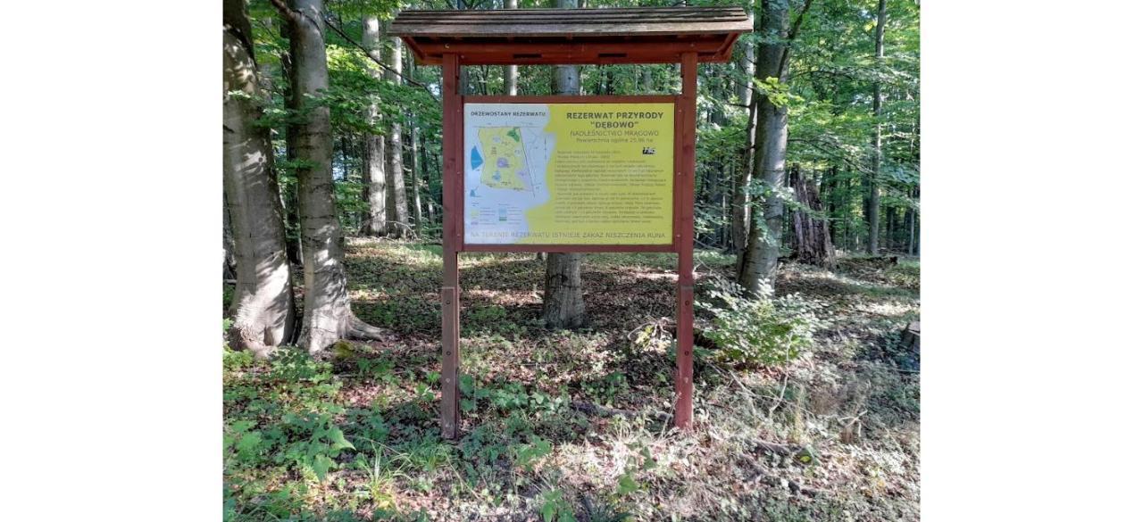 Warminskie Mieszkanko Biskupiec  Kültér fotó